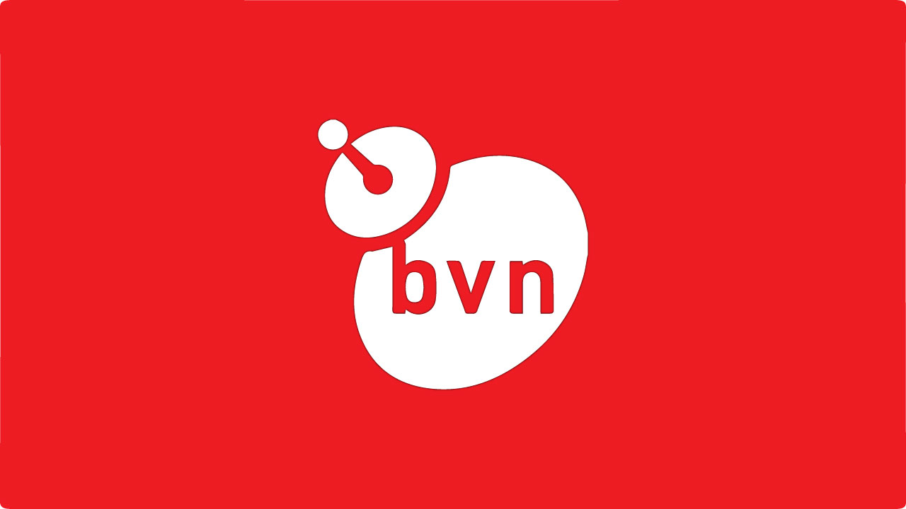 Файл bvn что это